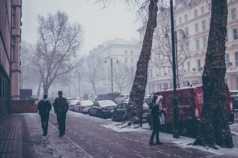 Snowy Imperial photograph